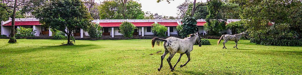 Lodge Ngare Sero Mountain *